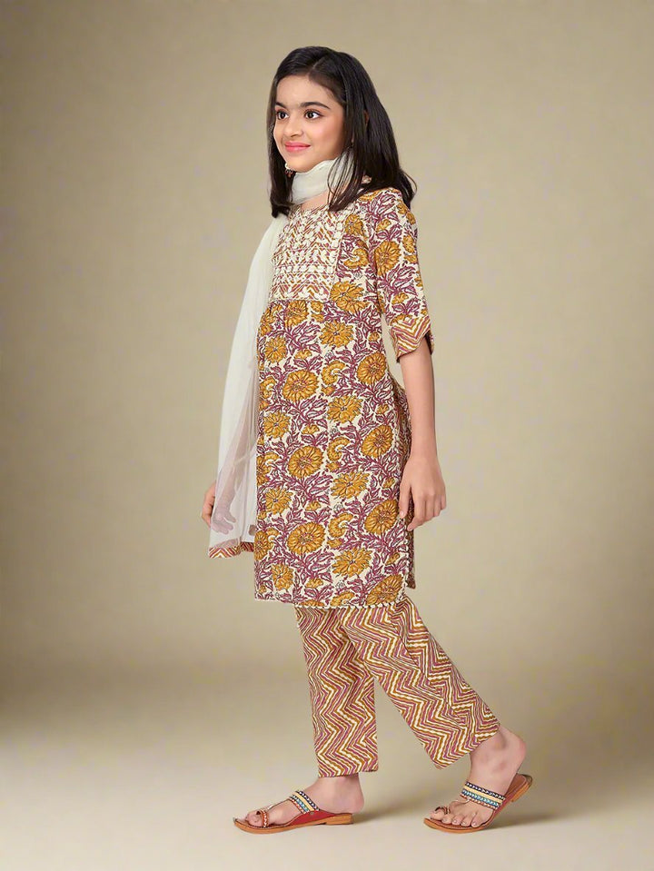 Indian traditional dress - gracy